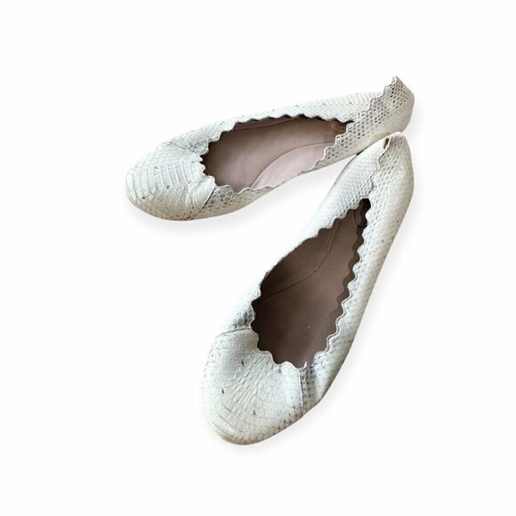 Chloe Shoes - Chloe Lauren Ballet Ballerina Flats, in white snake, Scalloped edge, Size 39